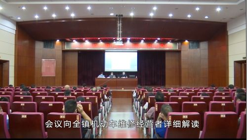 樟木頭鎮(zhèn)召開機(jī)動(dòng)車維修行業(yè)危險(xiǎn)廢物規(guī)范化管理督導(dǎo)會(huì)，深化固體廢物污染治理