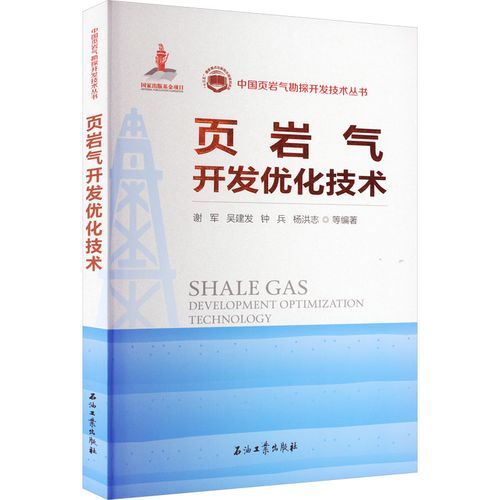 頁巖氣開發(fā)優(yōu)化技術 謝軍 等 編 交通/運輸專業(yè)科技 新華書店正版圖書
