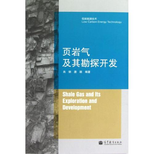 頁巖氣及其勘探開發(fā)/低碳能源技術 肖鋼,唐穎編著 著作 石油 天然氣工