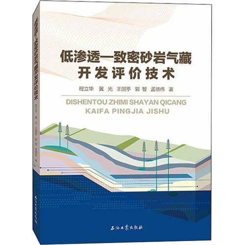 低滲透-致密砂巖氣藏開發(fā)評價技術 程立華 等 著 地球物理學專業(yè)科技